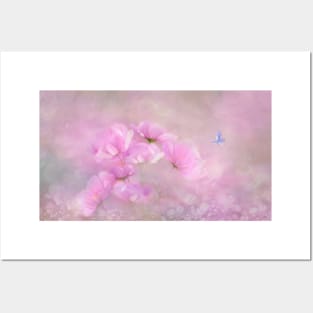 Pink soft flowers Posters and Art